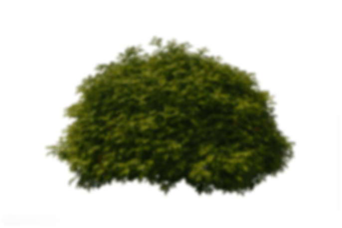 o 1